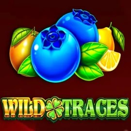 Play Wild Traces slot by Amusnet Interactive on spinbaracasinos-es.com